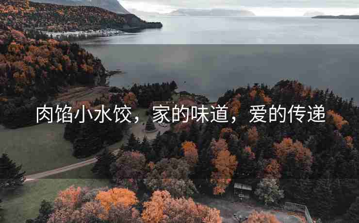 肉馅小水饺，家的味道，爱的传递