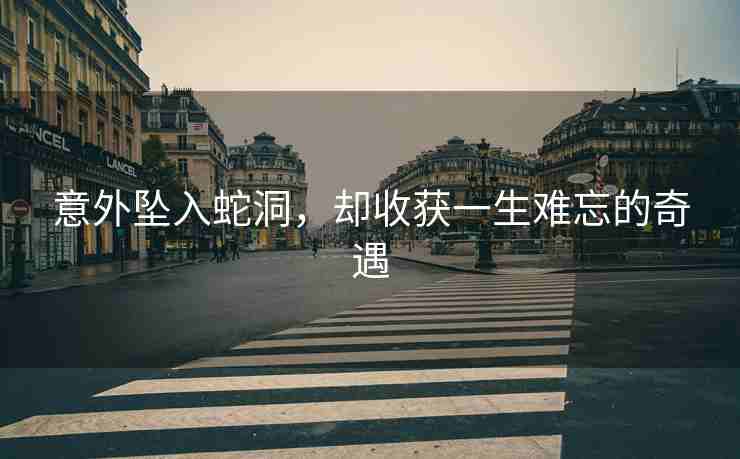 意外坠入蛇洞，却收获一生难忘的奇遇